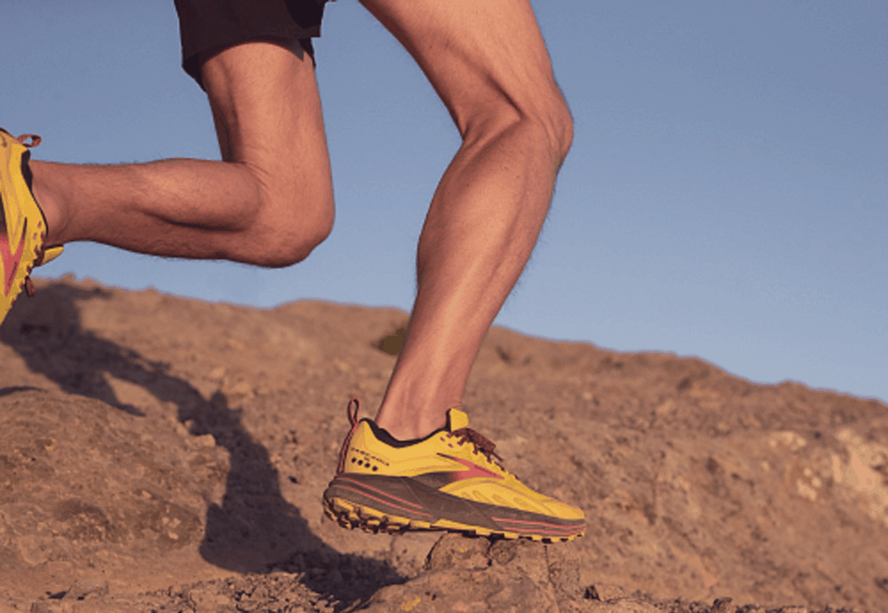 Brooks Cascadia 16 amorti semelle intermédiaire