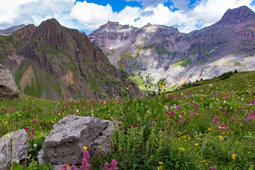 Le contraste étonnant offert par les gros rochers du Governor's Basin et les fleurs sauvages