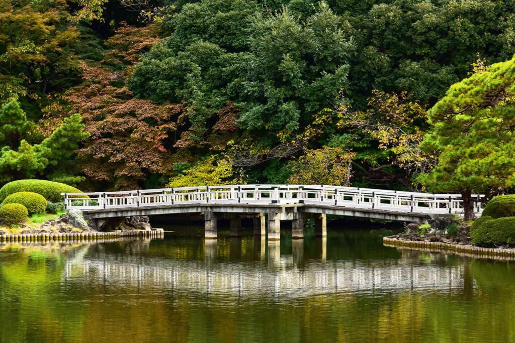 Le parc Shinjuku Gyoen : un lieu à visiter dans Tokyo