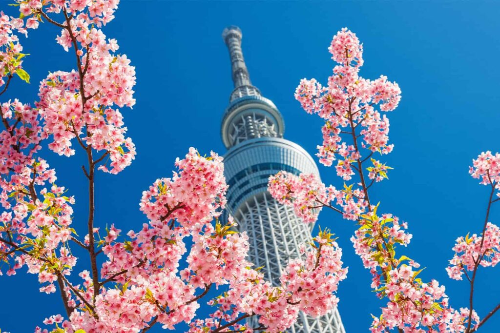 La célèbre tour Skytree et ses plateformes pour l'observation de la ville