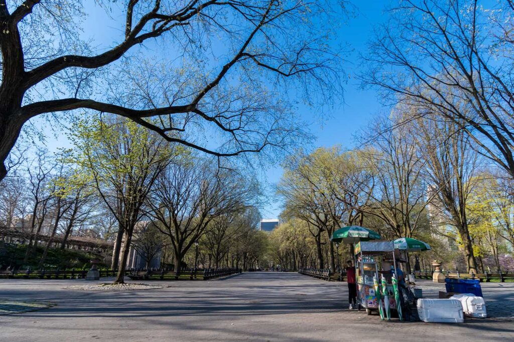 Vue au coeur du célèbre Central Park