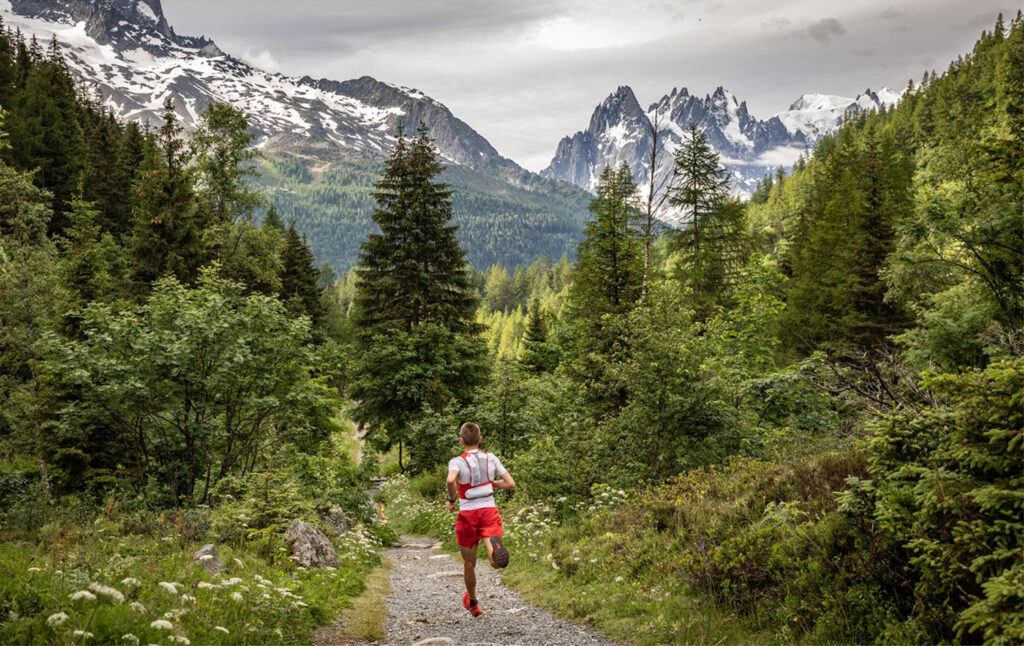 23km du Mont Blanc