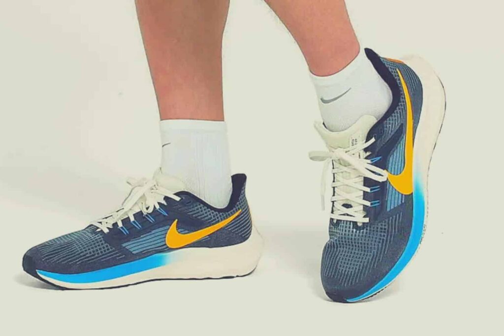 Nike Pegasus 39 version 2022 du best seller de la marque américaine