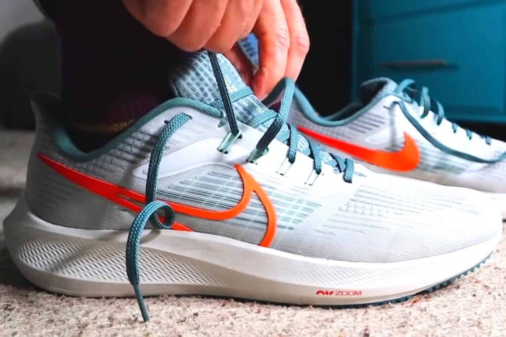 Nike Pegasus 39 test