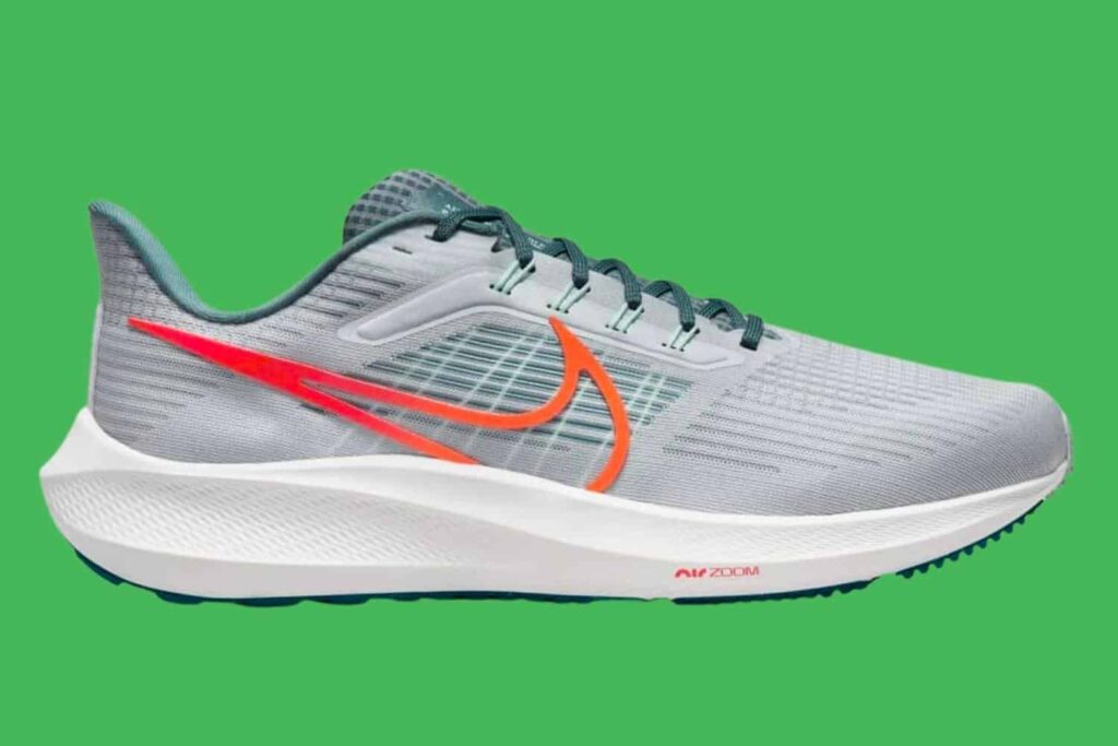 test de la Nike Pegasus 39 (nouvelle version)
