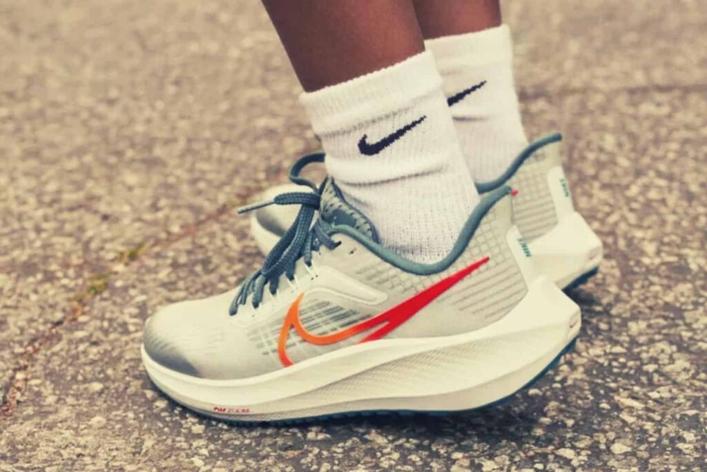 Nike Pegasus 39 avis