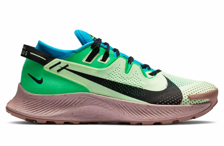 Nike Pegasus Trail 2 test chaussure