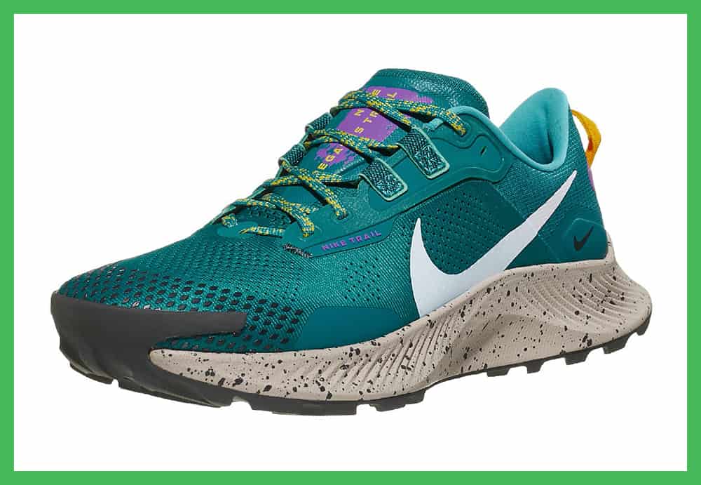 Nike Pegasus Trail 3 amorti