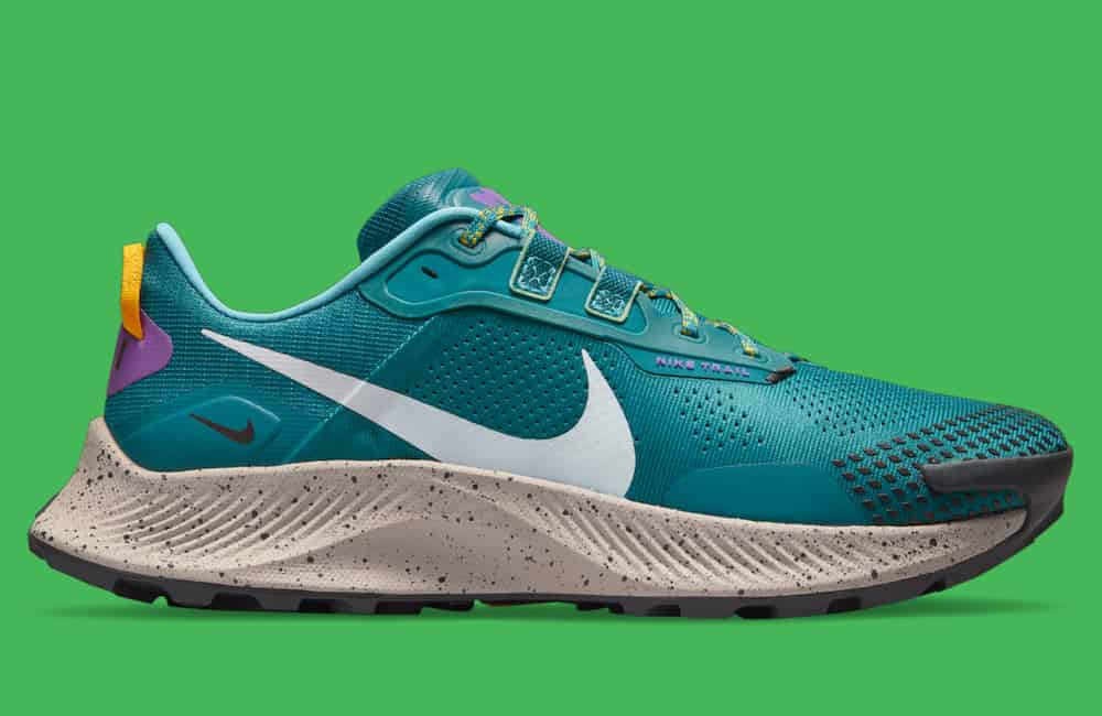 Nike Pegasus Trail 3 test chaussure running
