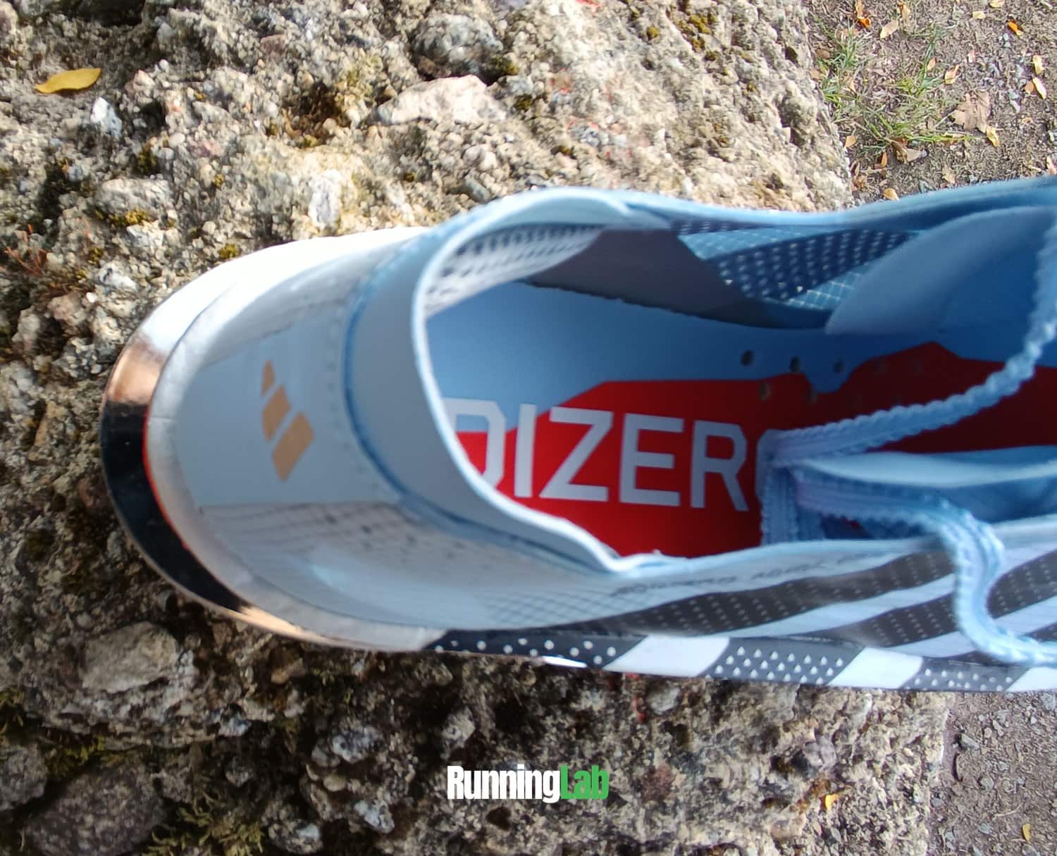 Intérieur de l'Adidas Adios Pro 5 avec la languette et la semelle de propreté