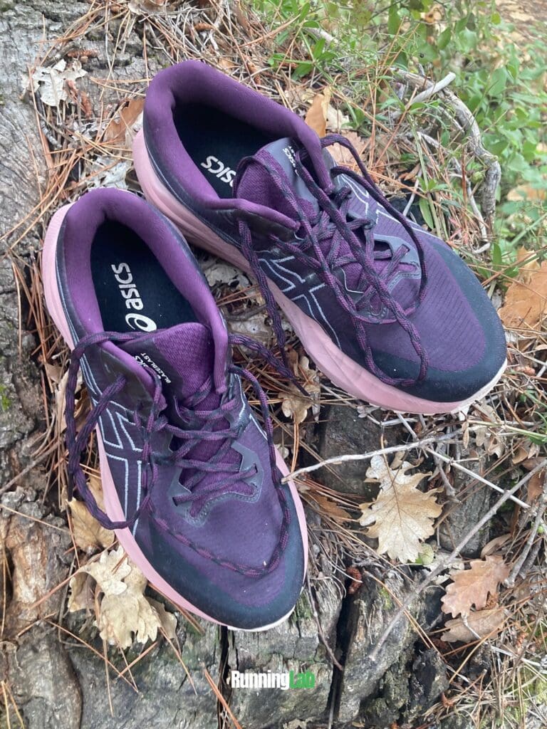Paire d'Asics Blazeblast posée sur une souche en forêt