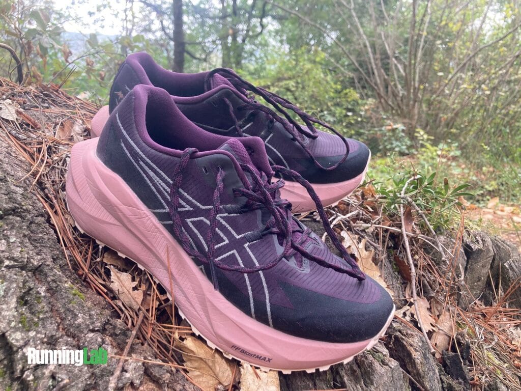 Paire d'Asics Blazeblast sur une souche en sous-bois