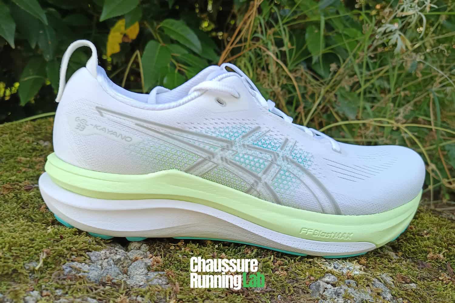 Asics Gel Kayano 33 test
