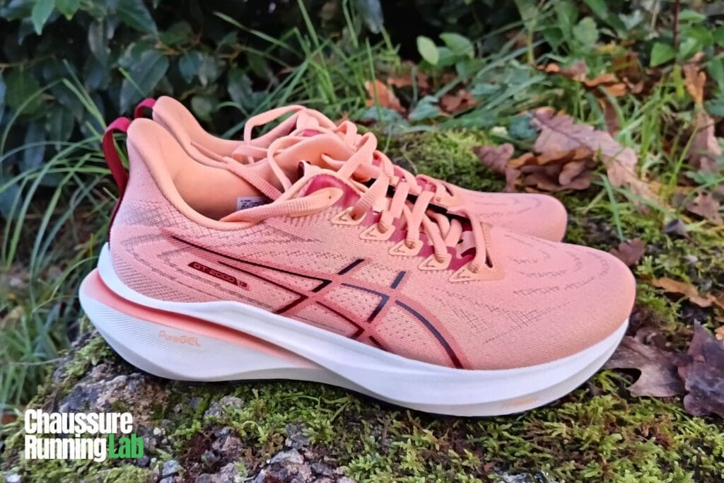 paire de chaussures de course Asics GT-2000 13