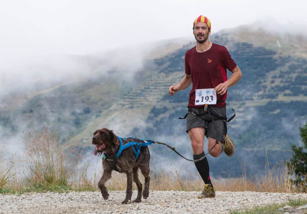 Concurrent courant avec ses chiens sur le chemin en Rhones Alpes, Trophee des Montagnes