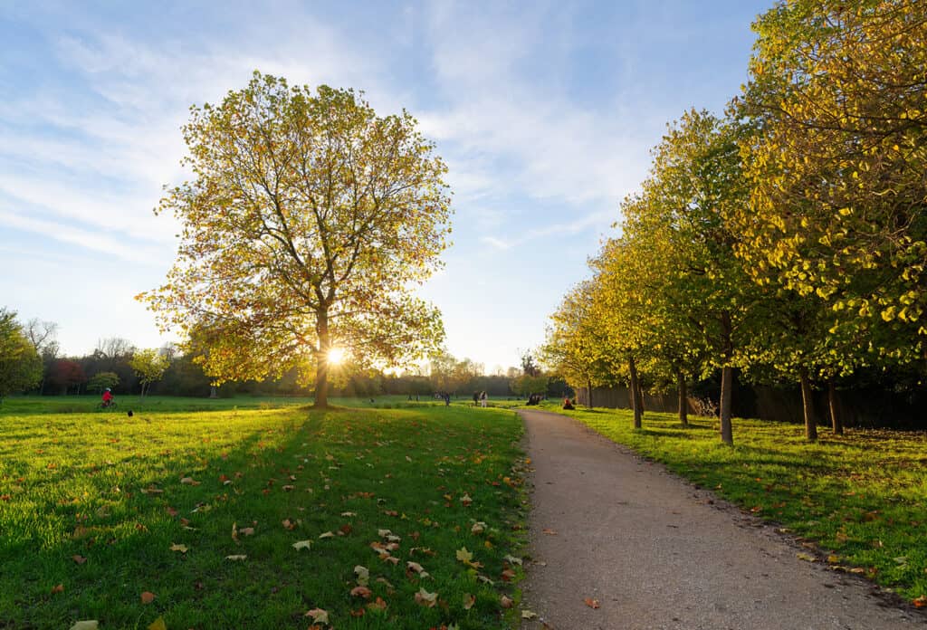 bois de Vincennes Paris