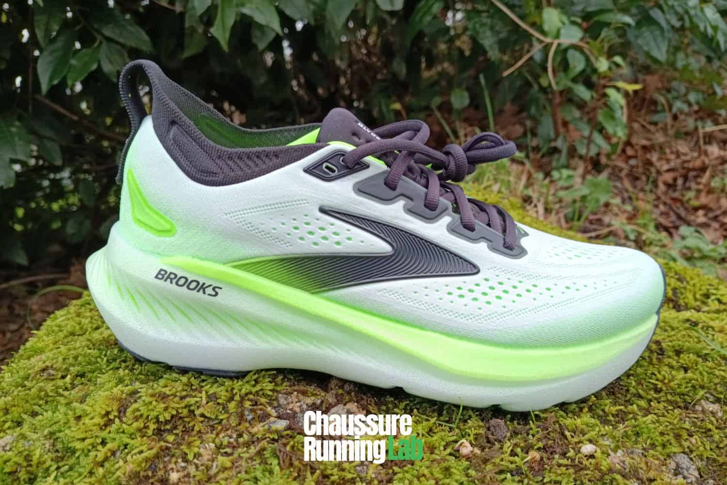 Brooks Glycerin 23 test