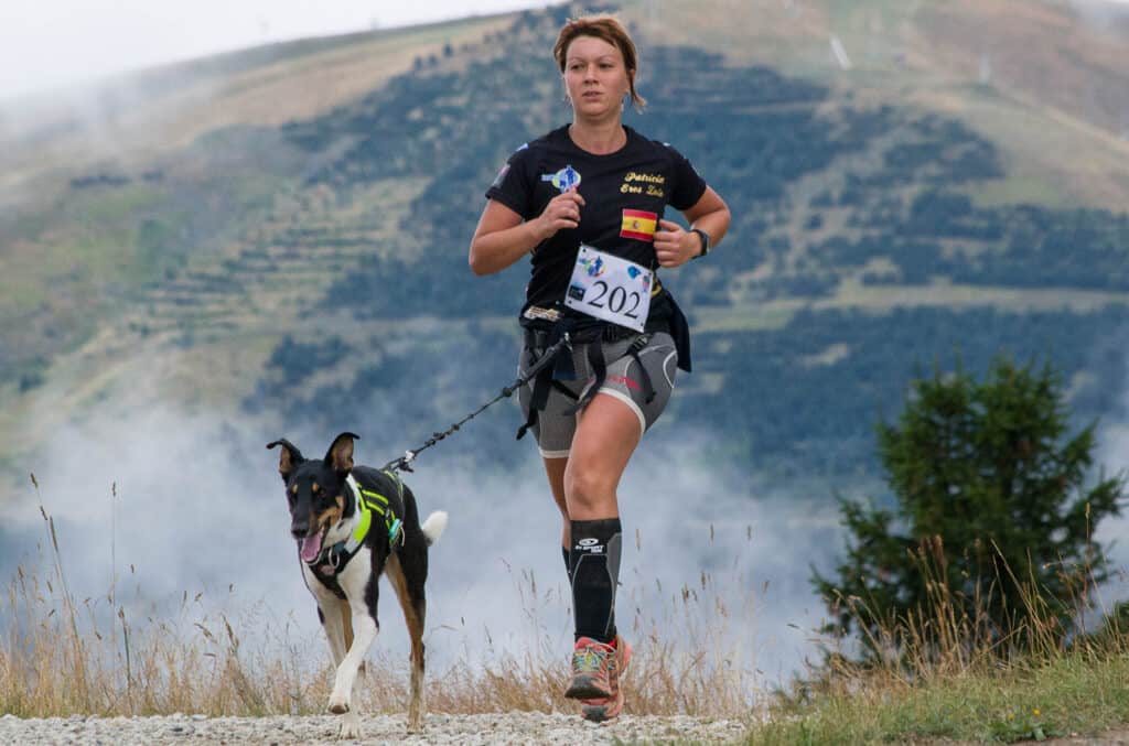 Compétiteur courant avec un chien sur le chemin en Rhones Alpes, Trophee des Montagnes
