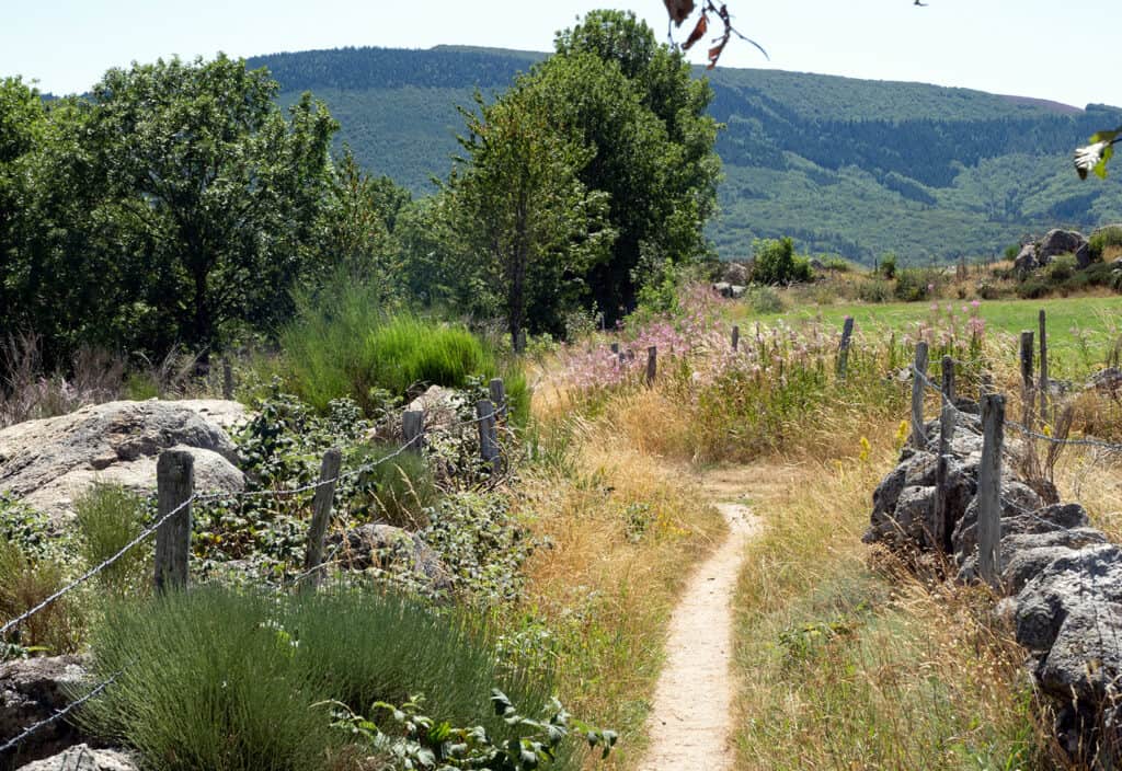 chemin de randonnée Robert Louis Stevenson