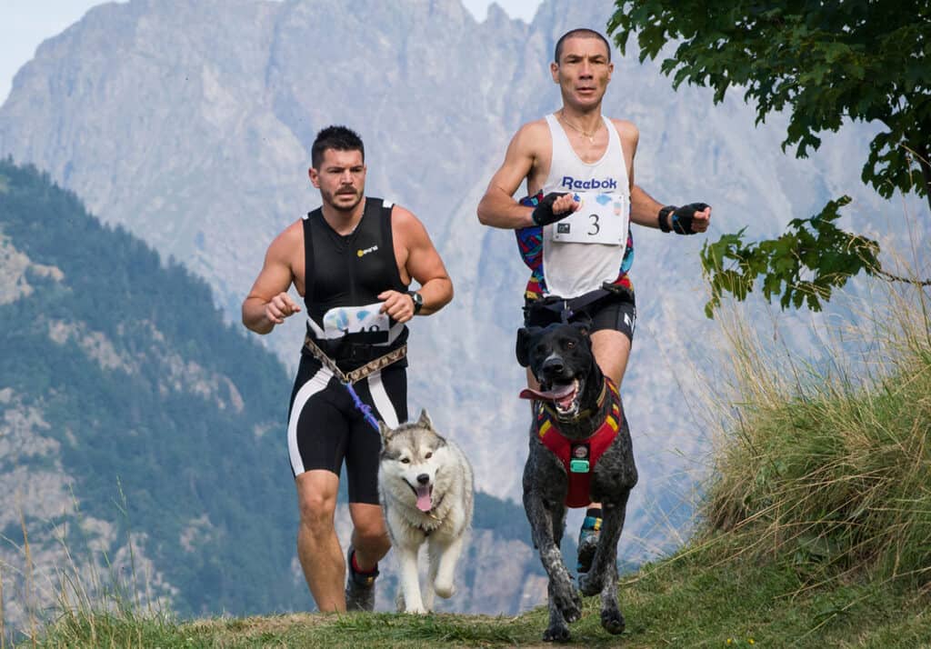 Deux concurrents courant avec des chiens sur le chemin en Rhones Alpes, Trophee des Montagnes, la course de canicross la plus dure