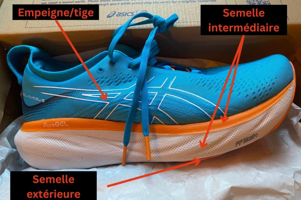 anatomie chaussure running