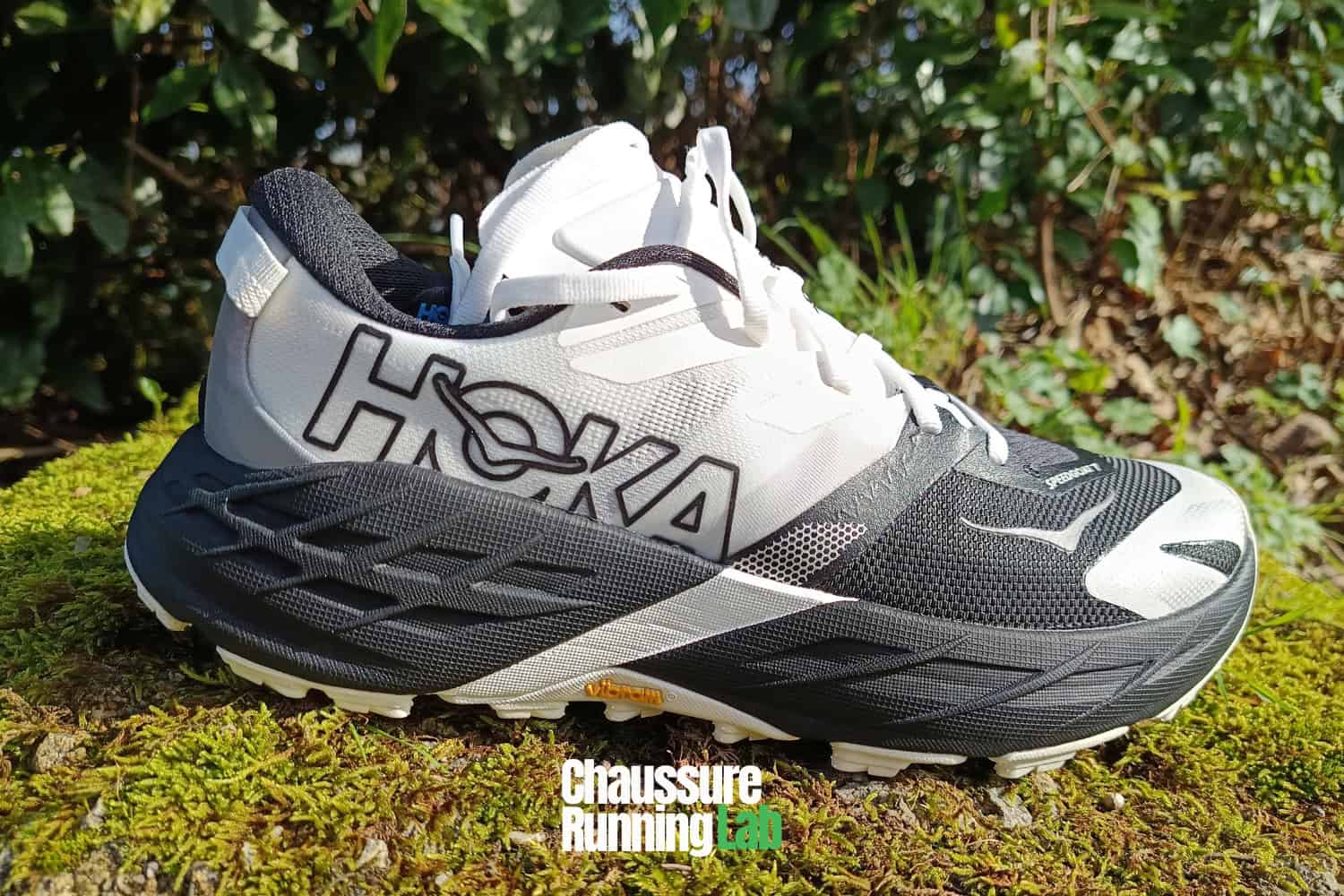 Hoka Speedgoat 7 test