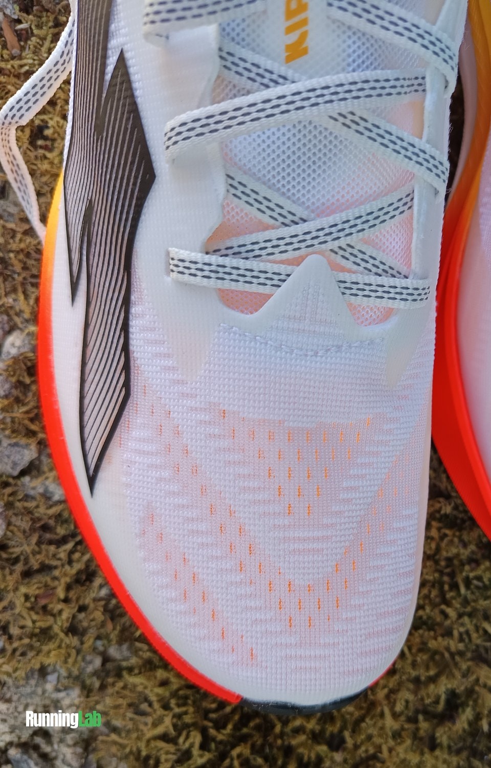 Tige en mesh de la Kiprun KD900 Light