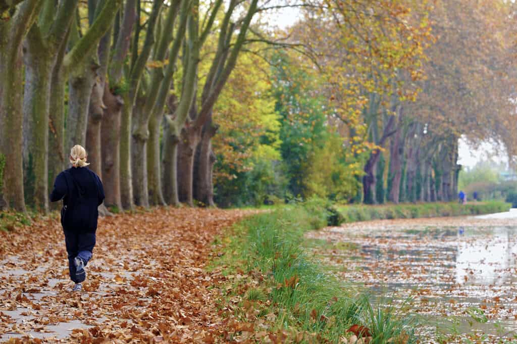 canal du midi toulouse coureur