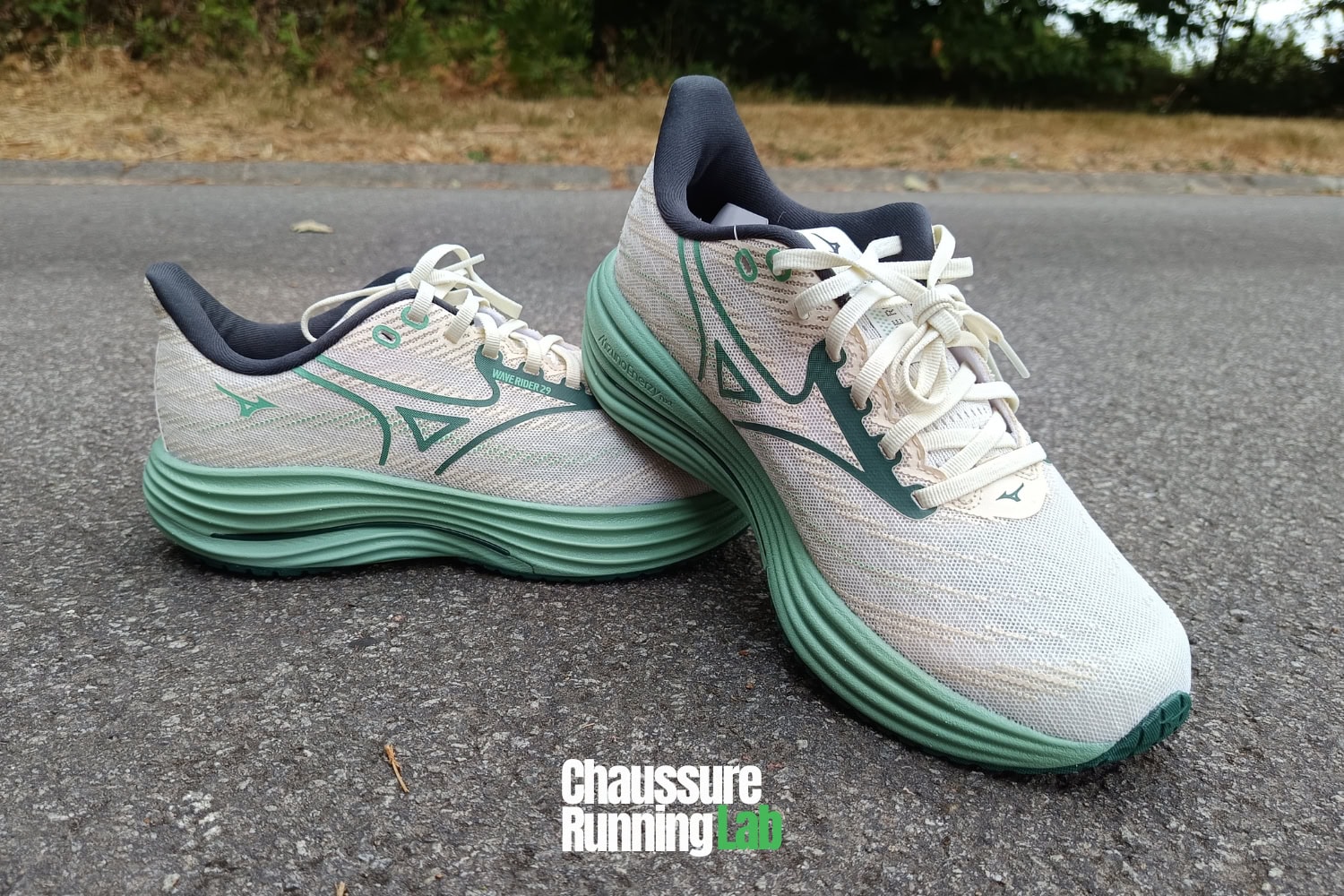 Paire de chaussures de course Mizuno Wave Rider 29