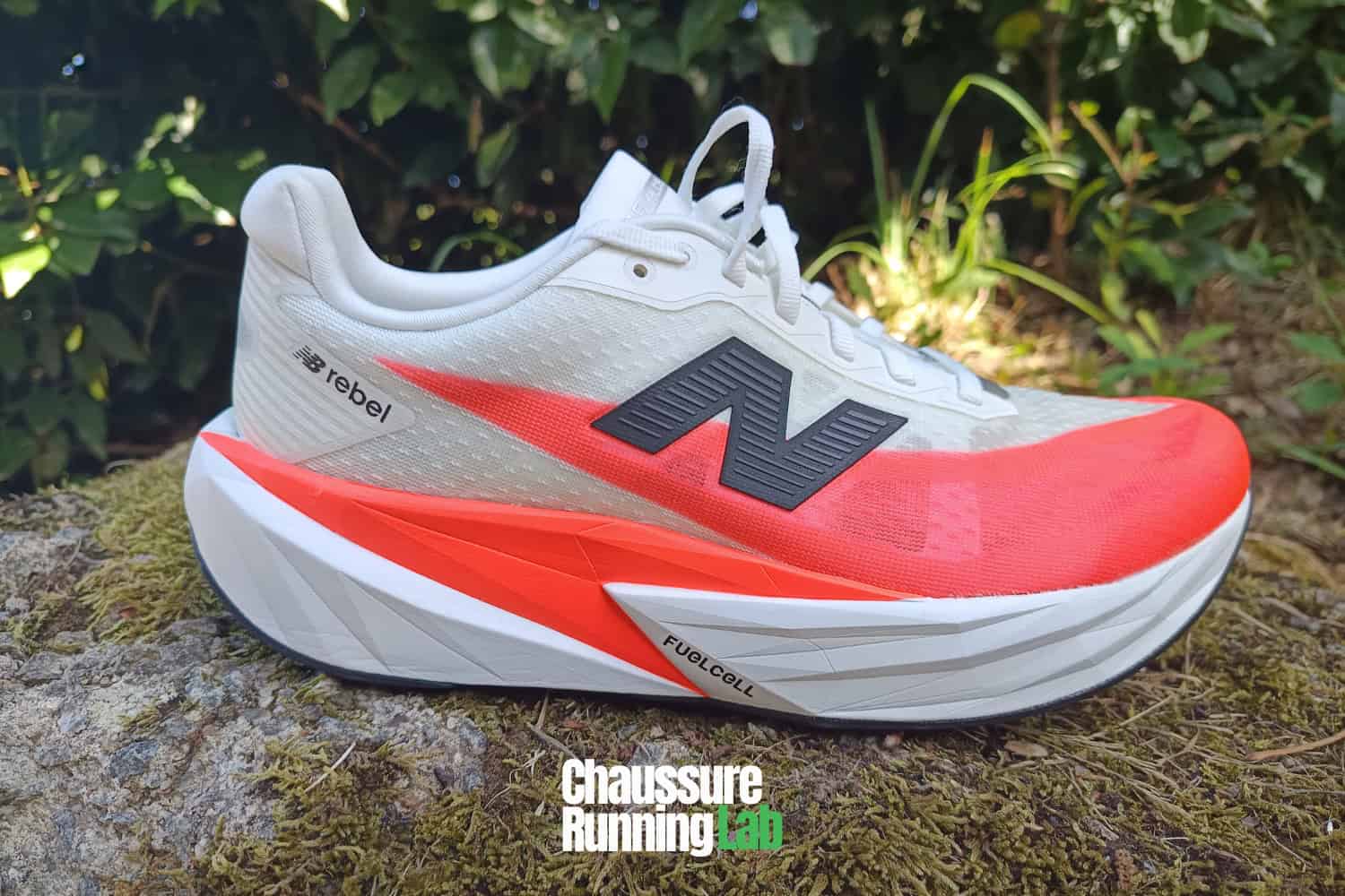 rebel vs propel nb