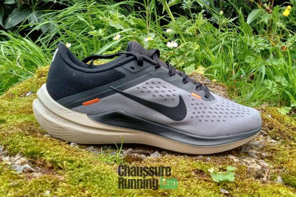 mousse Cushlon Nike Air Winflo 10