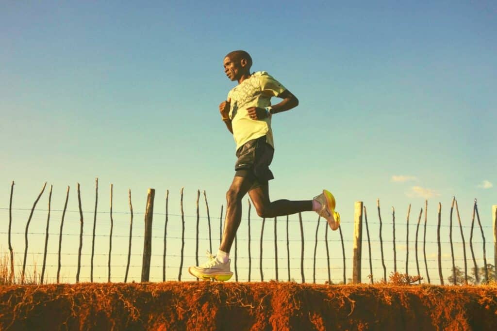 Nike Alphafly Next 2 test par un marathonien
