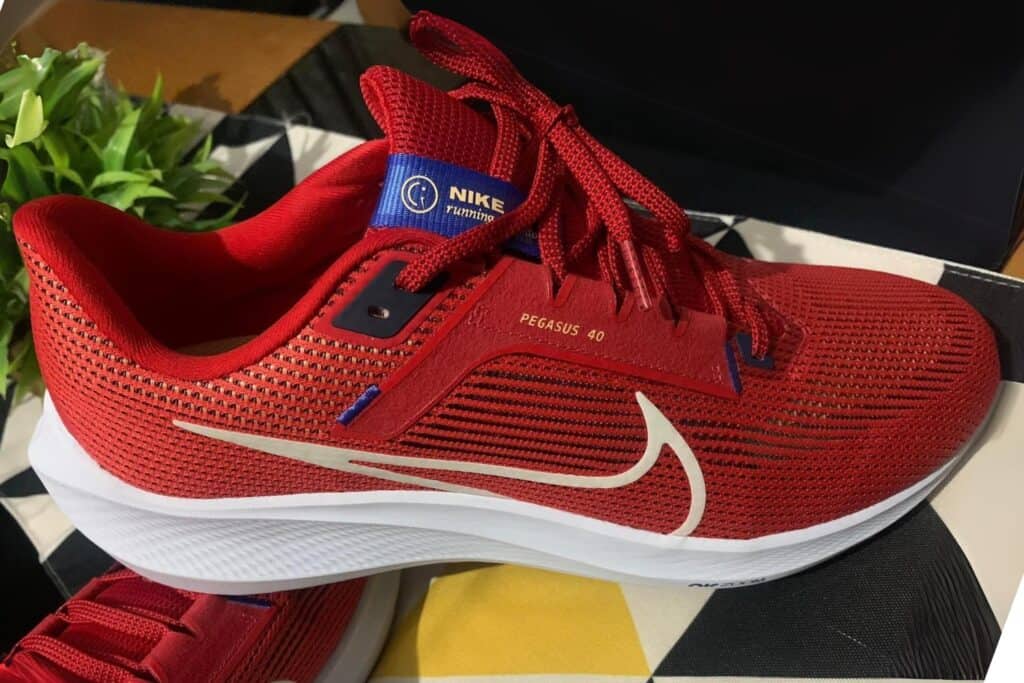 Nike Pegasus 40 rouge