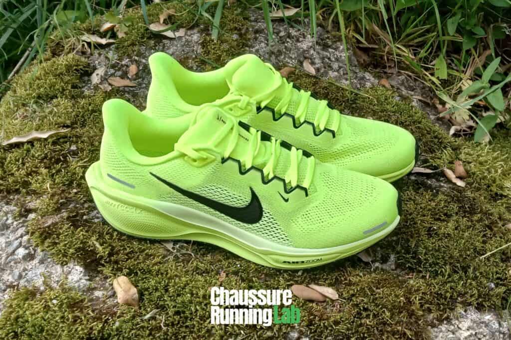 Nike Pegasus 41 avis