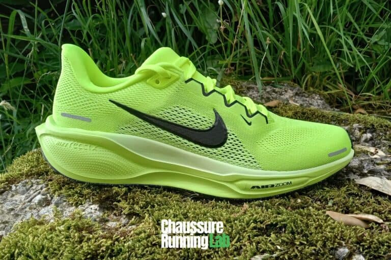 nike pegasus 41 test