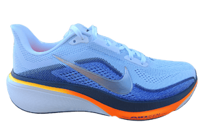 Nike Pegasus 42