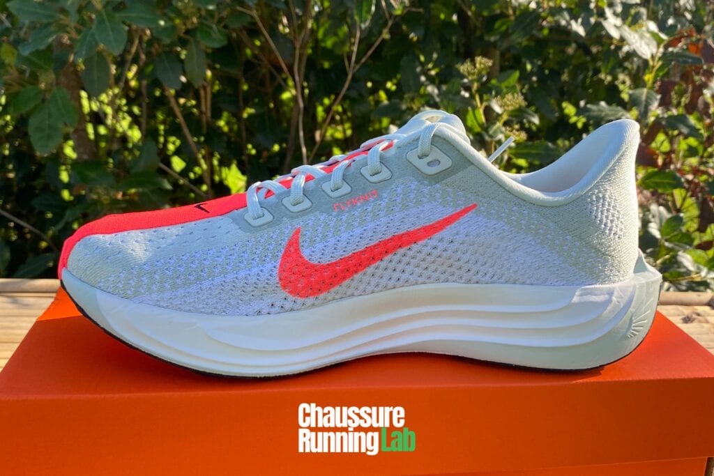 Nike Pegasus Plus amorti semelle intermédiaire