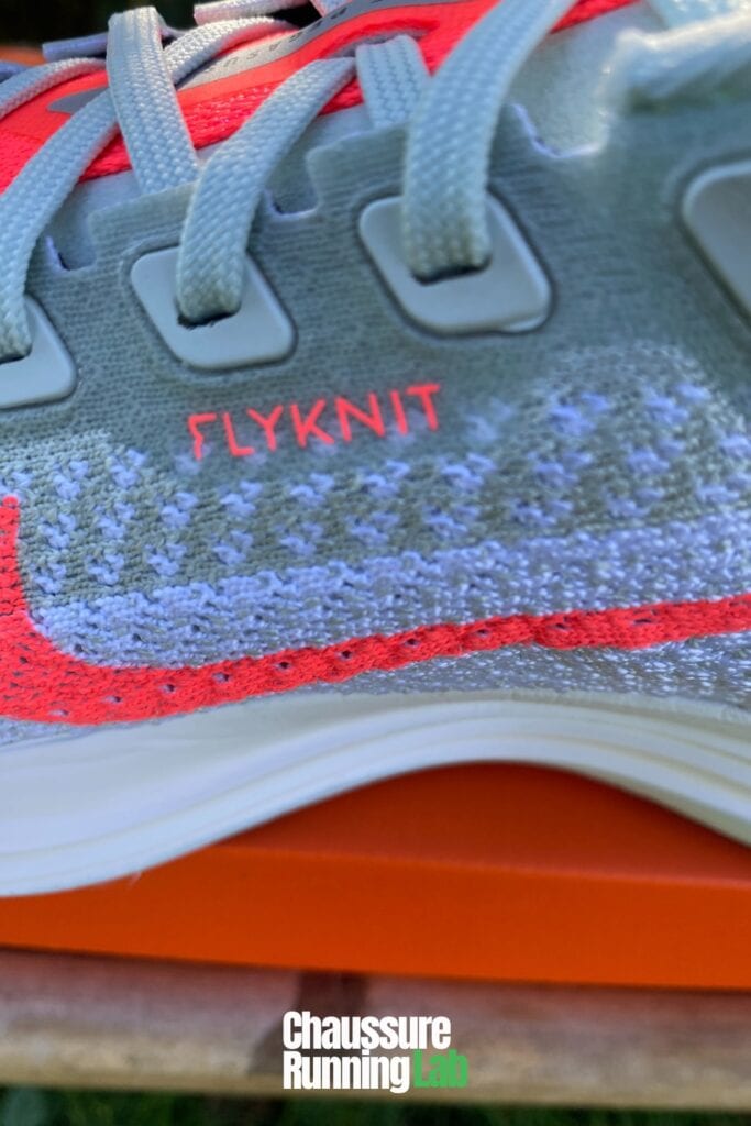 Nike Pegasus Plus Flyknit mesh