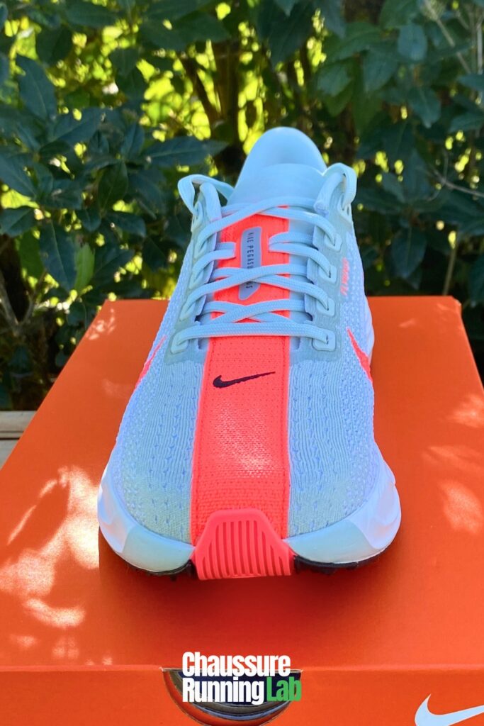 Nike Pegasus Plus toe box