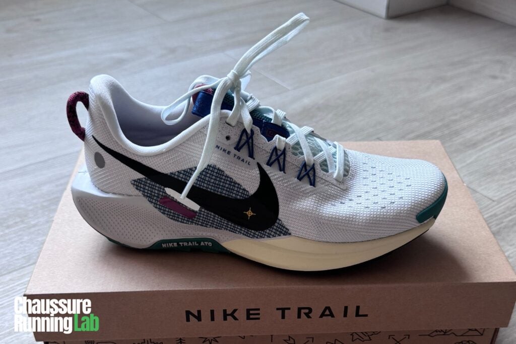 Pegasus Trail 5 Nike