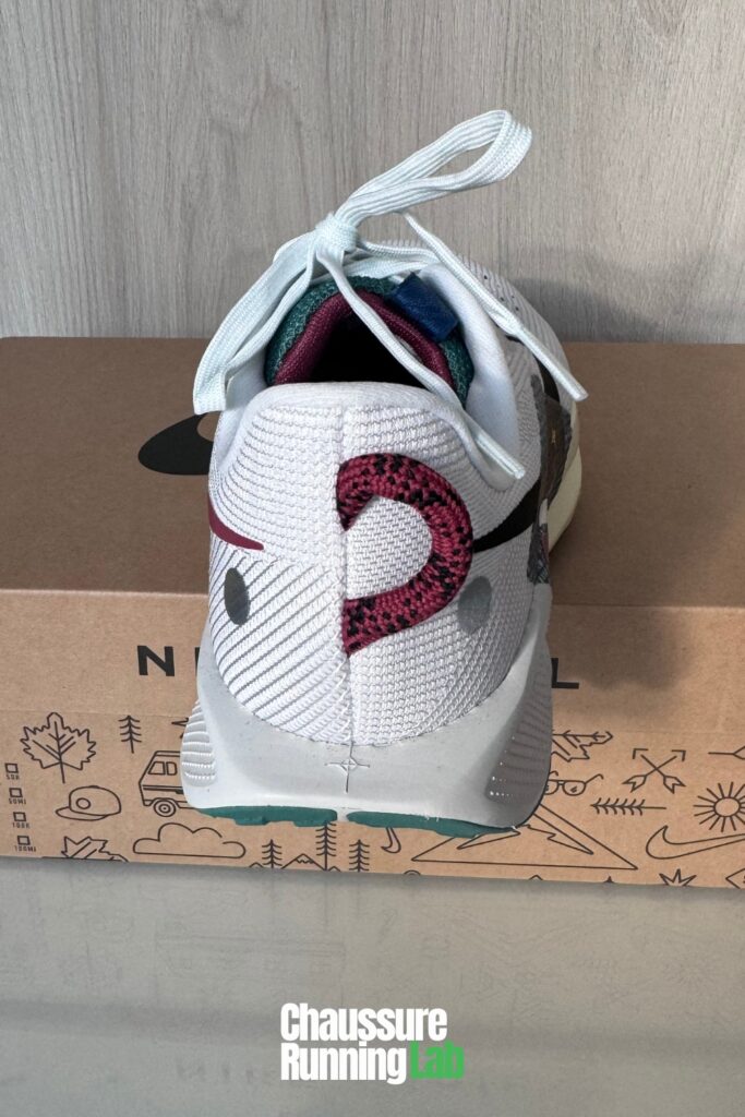 Nike Pegasus Trail 5 talon