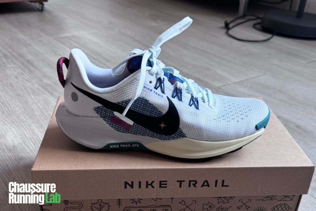 Nike Pegasus Trail 5 chaussure hybride