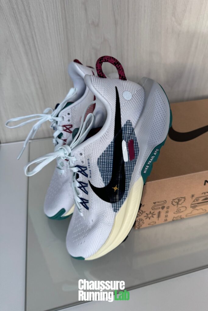 Nike Pegasus Trail 5 chaussure à foulée naturelle