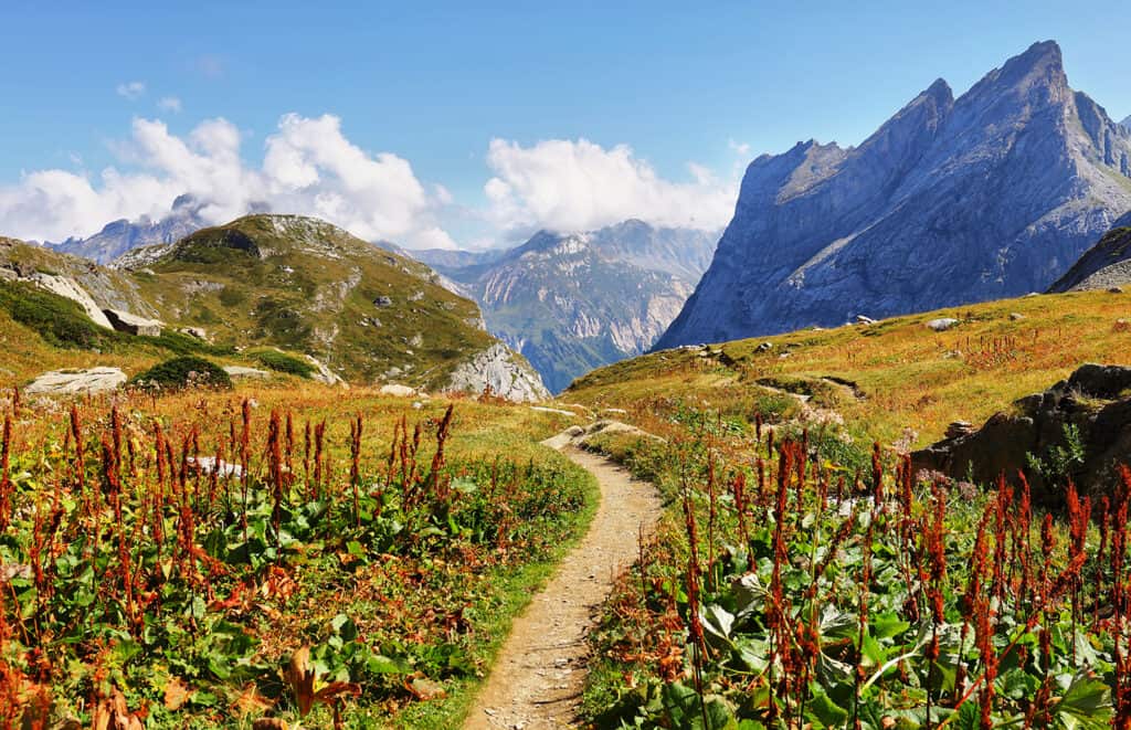 Parc national de la Vanoise dans les Alpes françaises