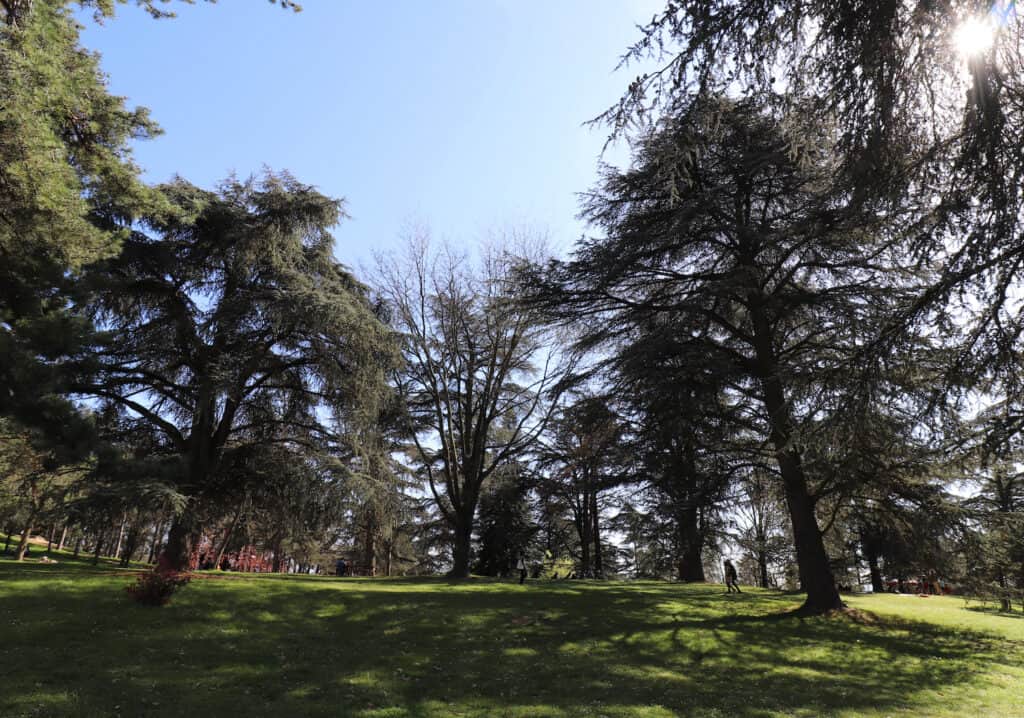 parc de parilly dans le quartier du même nom