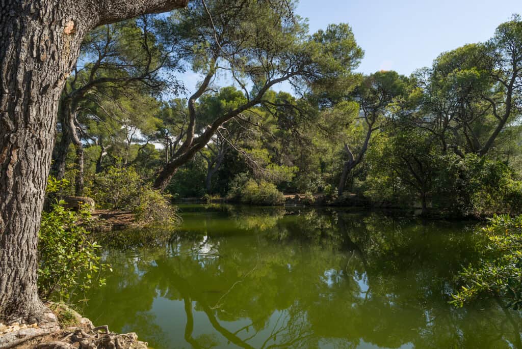 Parc Pastré à Marseille