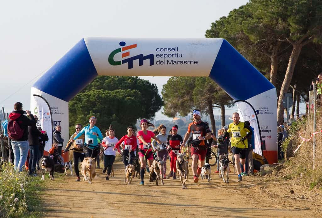 Personnes participant à la course Canicross Entrevinyes