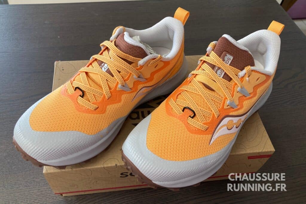 paire de chaussures de course Peregrine 14
