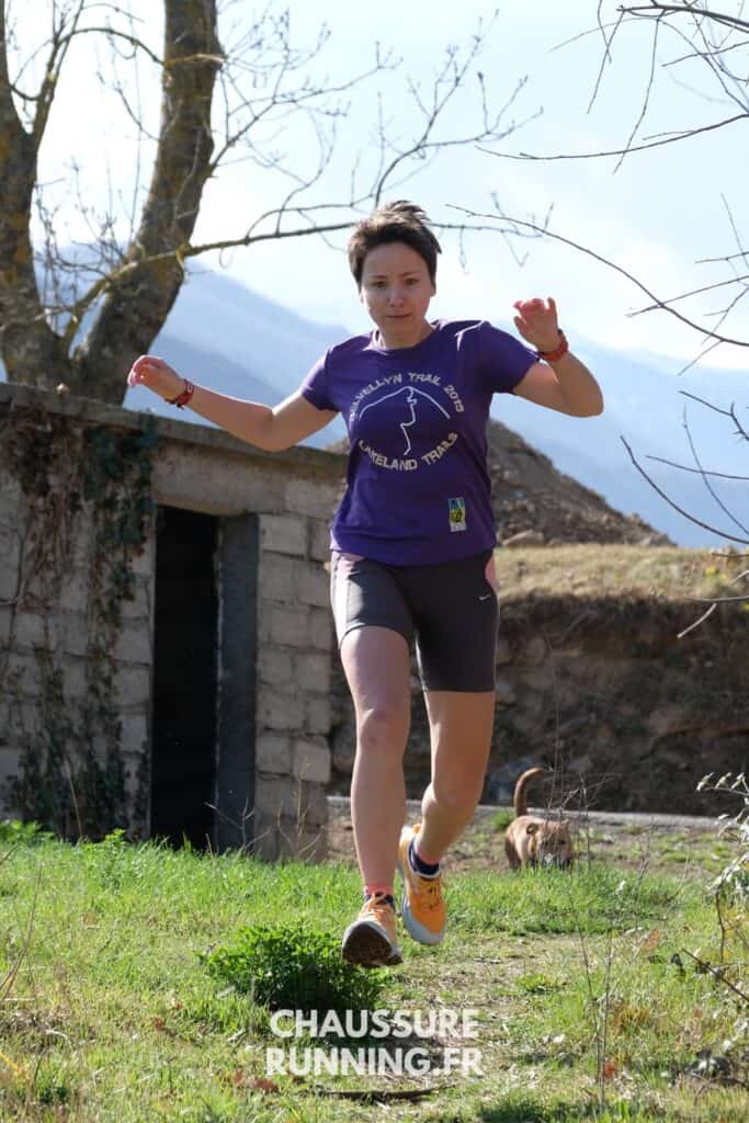Chaussure d'entraînement quotidien Saucony Peregrine 14
