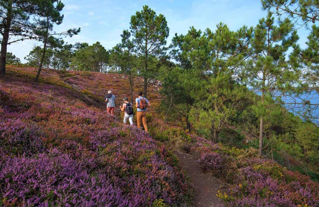 Le sentier GR34 en France